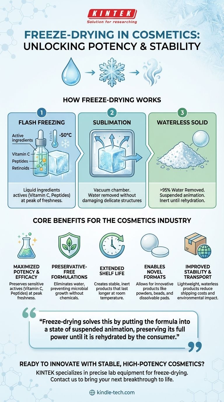 How does freeze drying benefit the cosmetics industry? Unlock Potent, Preservative-Free Formulas Visual Guide