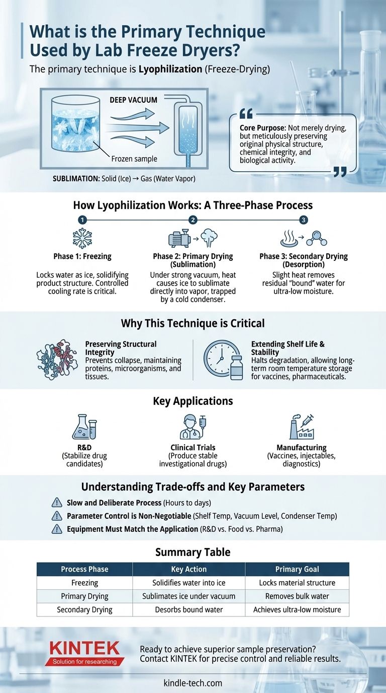 Какой основной метод используется лабораторными лиофилизаторами для обработки материалов? Лиофилизация для превосходного сохранения образцов Визуальное руководство
