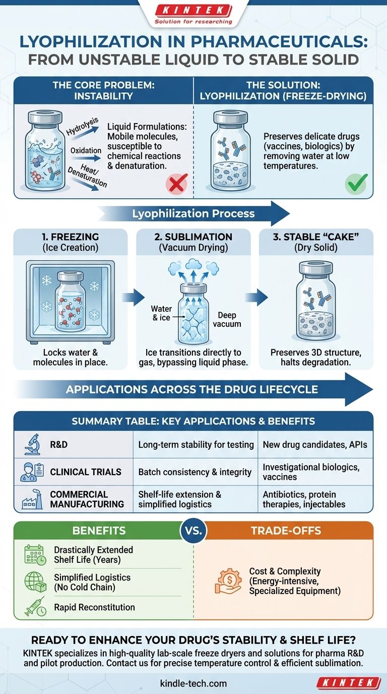 Comment la lyophilisation est-elle appliquée dans l'industrie pharmaceutique ? Stabiliser les médicaments délicats pour une efficacité à long terme Guide Visuel