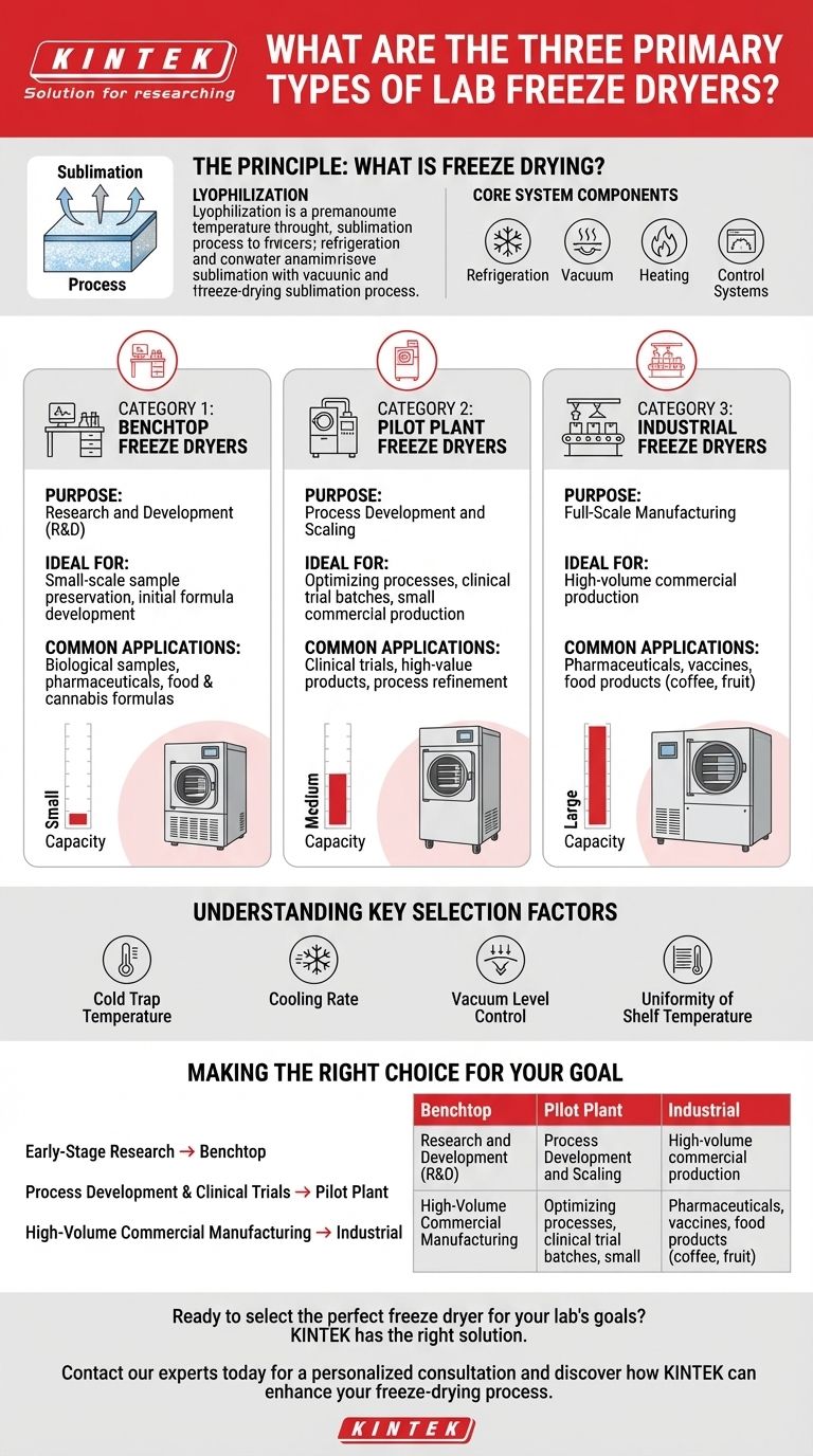 実験室用フリーズドライヤーの主要な3つのタイプは何ですか？研究室に最適なスケールを選択する ビジュアルガイド