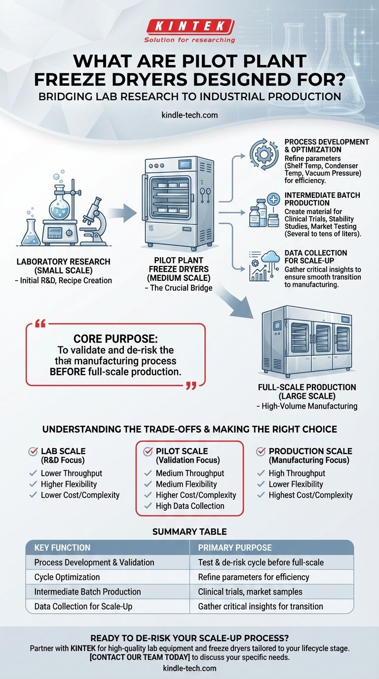 파일럿 플랜트 동결건조기는 무엇을 위해 설계되었습니까? 실험실 연구에서 산업 제조로의 격차 해소 시각적 가이드