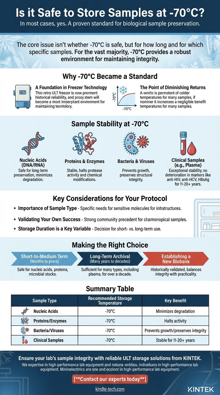 ¿Es seguro almacenar muestras a -70°C? Un estándar probado para la integridad de muestras a largo plazo Guía Visual