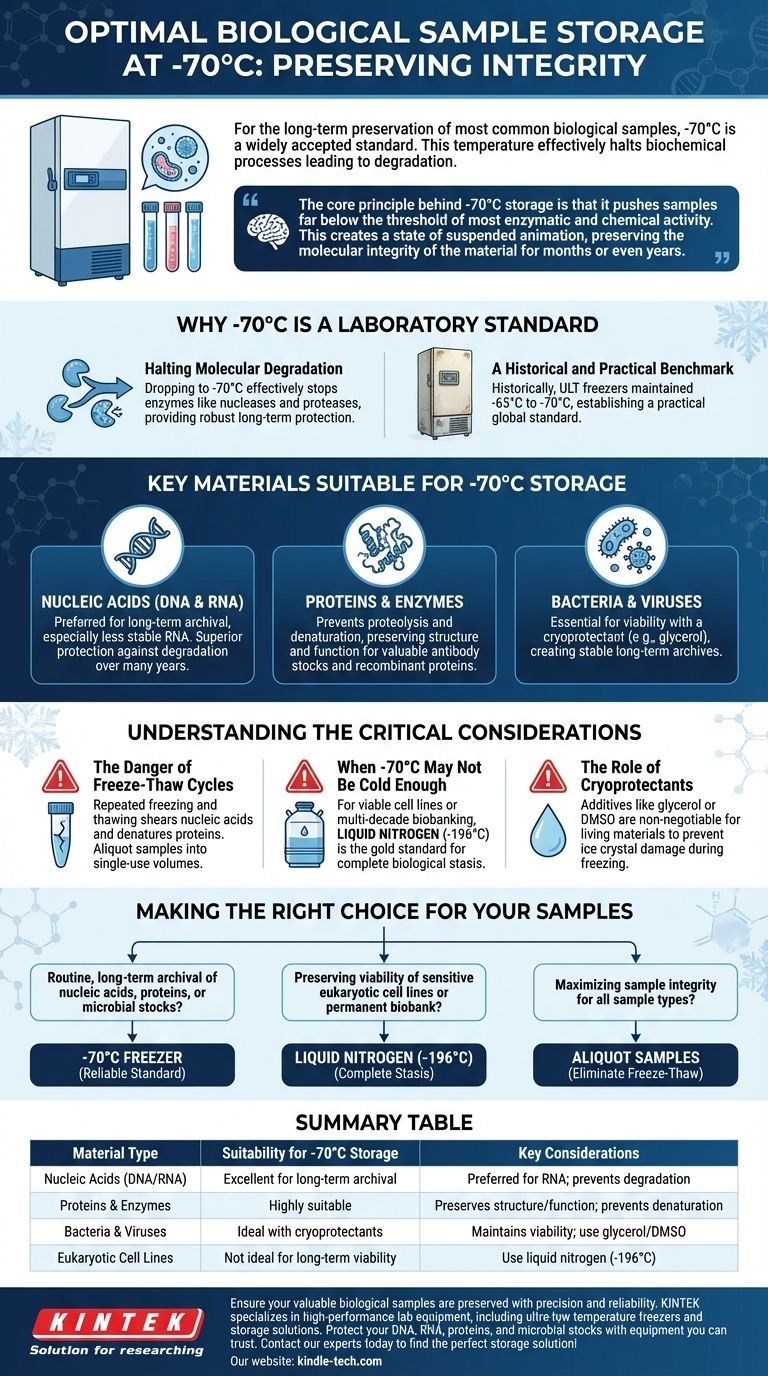 Welche Arten von biologischem Material können sicher bei -70°C gelagert werden? Ein Leitfaden zur Langzeitkonservierung von Proben Visuelle Anleitung