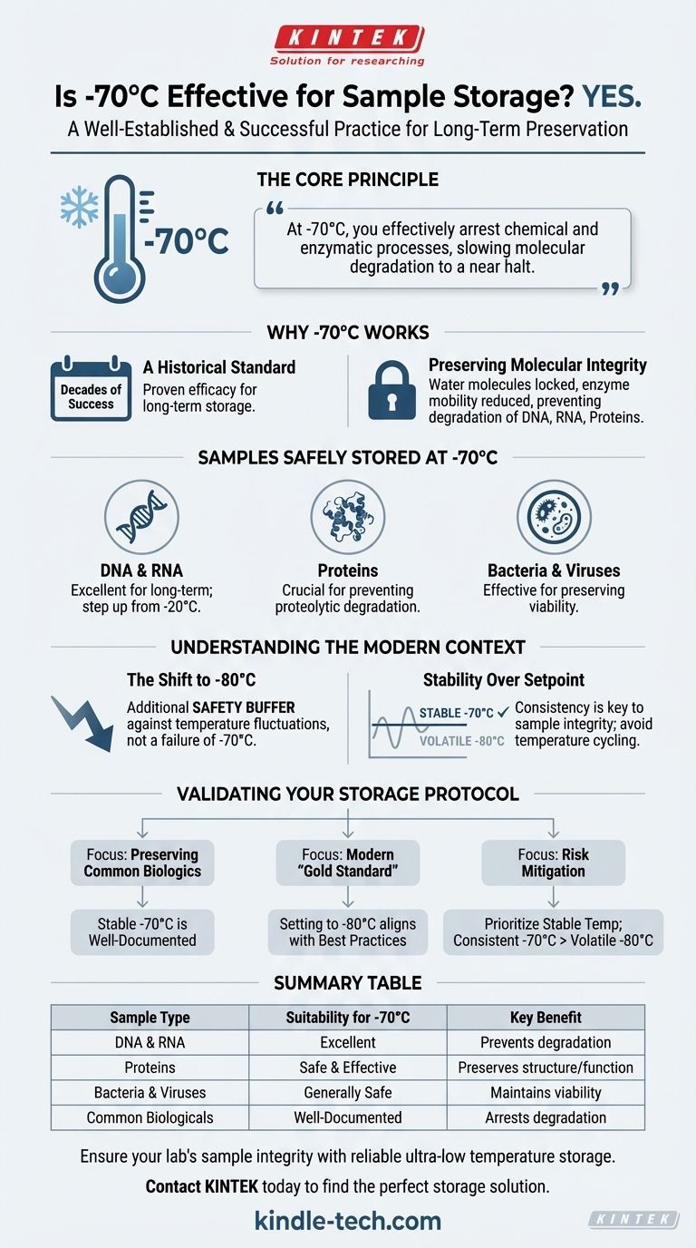 ¿Otros laboratorios han almacenado muestras con éxito a -70°C? Preservación a largo plazo probada para materiales biológicos Guía Visual
