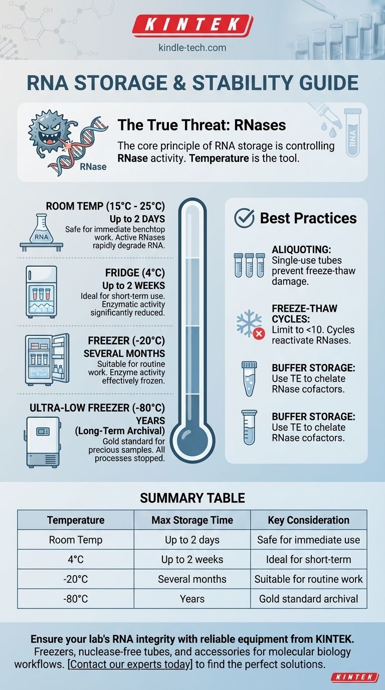 ¿Qué tan estable es el ARN extraído a varias temperaturas? Una guía para el almacenamiento y manipulación seguros Guía Visual
