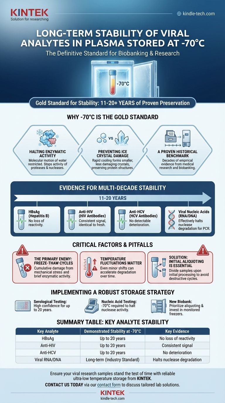 储存在-70°C血浆中的病毒分析物长期稳定性如何？经过数十年研究证实 图解指南