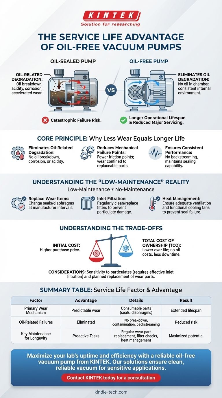 Qual é a vantagem das bombas de vácuo isentas de óleo em relação à vida útil? Alcance Décadas de Operação Confiável Guia Visual