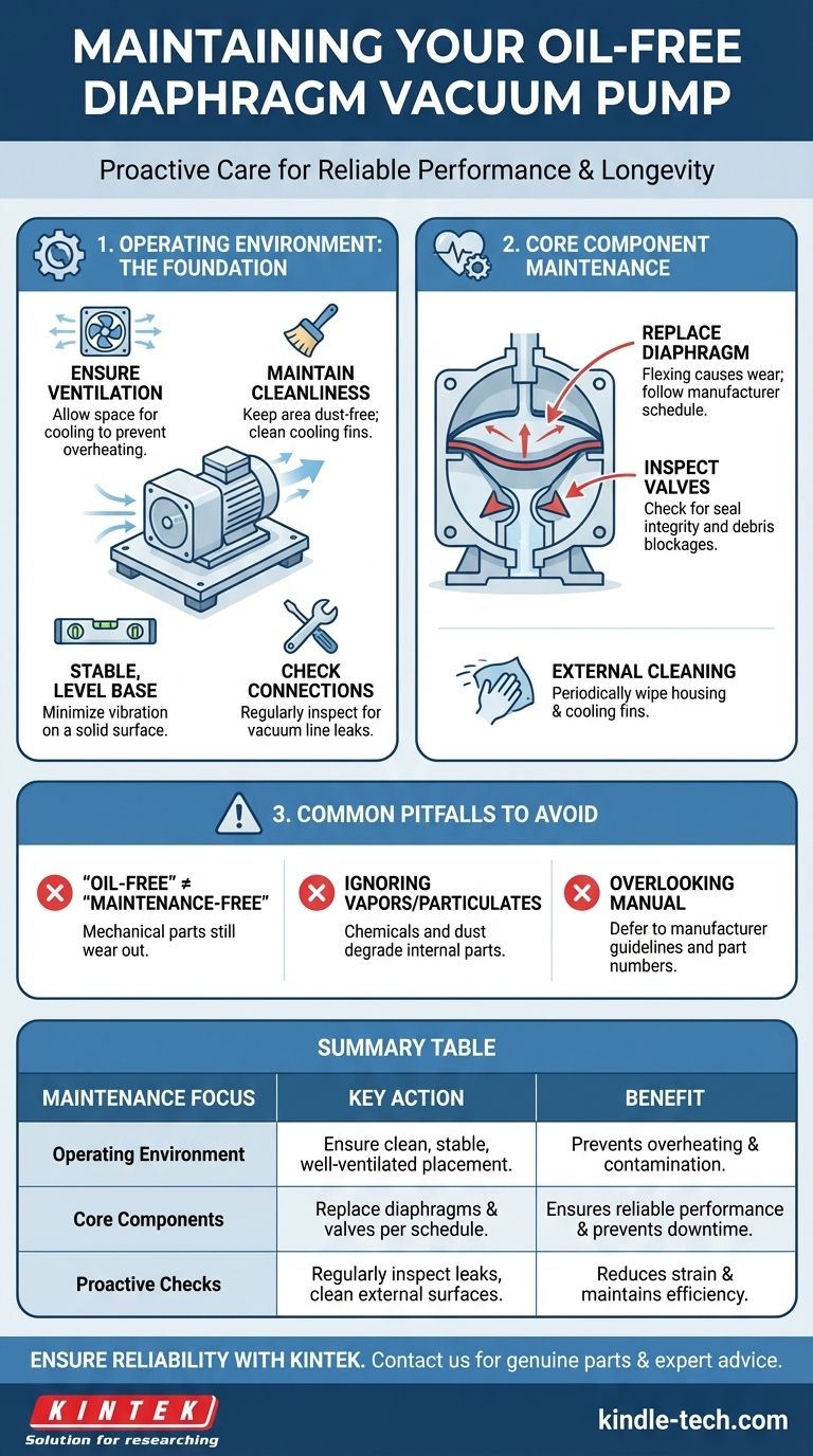 Como deve ser feita a manutenção de uma bomba de vácuo de diafragma isenta de óleo? Um guia proativo para maximizar a vida útil da bomba Guia Visual