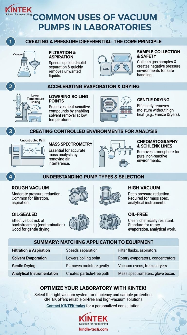 Каковы распространенные области применения вакуумных насосов в лабораториях? Важны для фильтрации, выпаривания и анализа Визуальное руководство