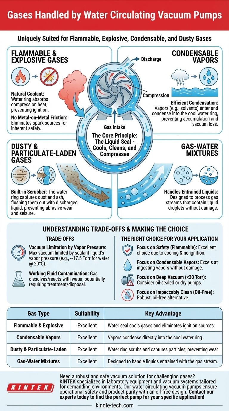 What types of gases can a water circulating vacuum pump handle? Safely Manage Flammable, Condensable & Dirty Gases Visual Guide