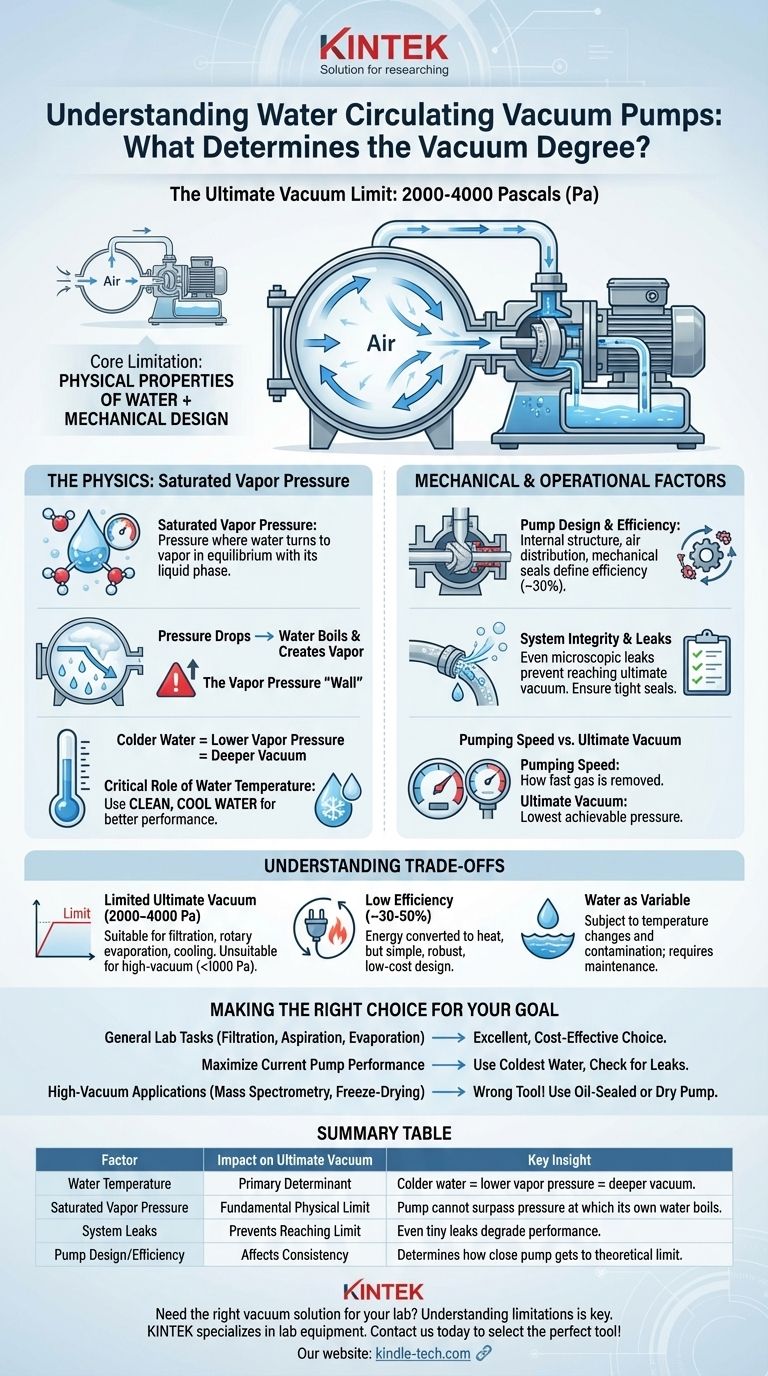 수 순환식 진공 펌프가 달성할 수 있는 진공도는 무엇에 의해 결정될까요? 그 한계의 물리적 원리 알아보기 시각적 가이드