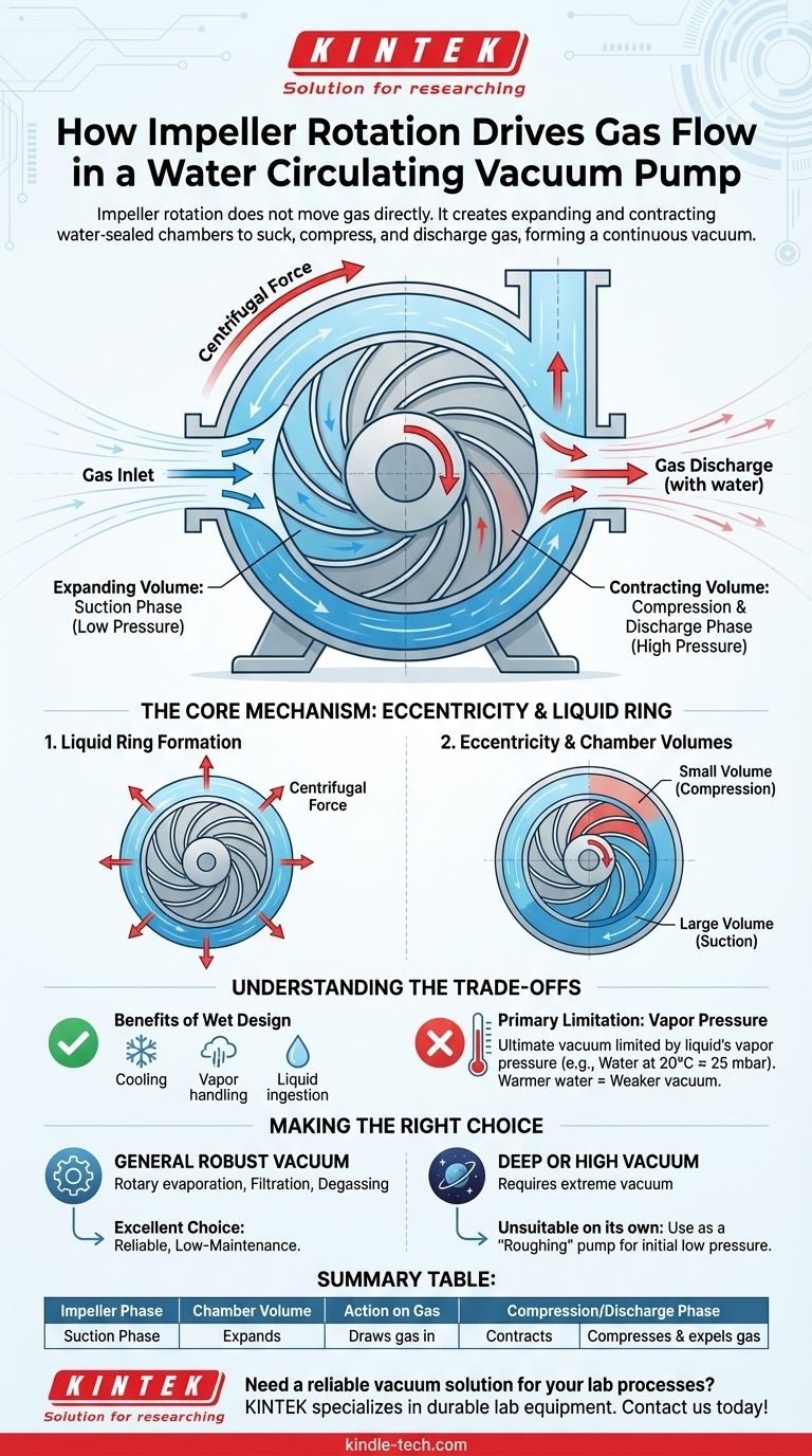 Как вращение рабочего колеса влияет на поток газа в водокольцевом вакуумном насосе? Руководство по принципу работы жидкостного кольца Визуальное руководство