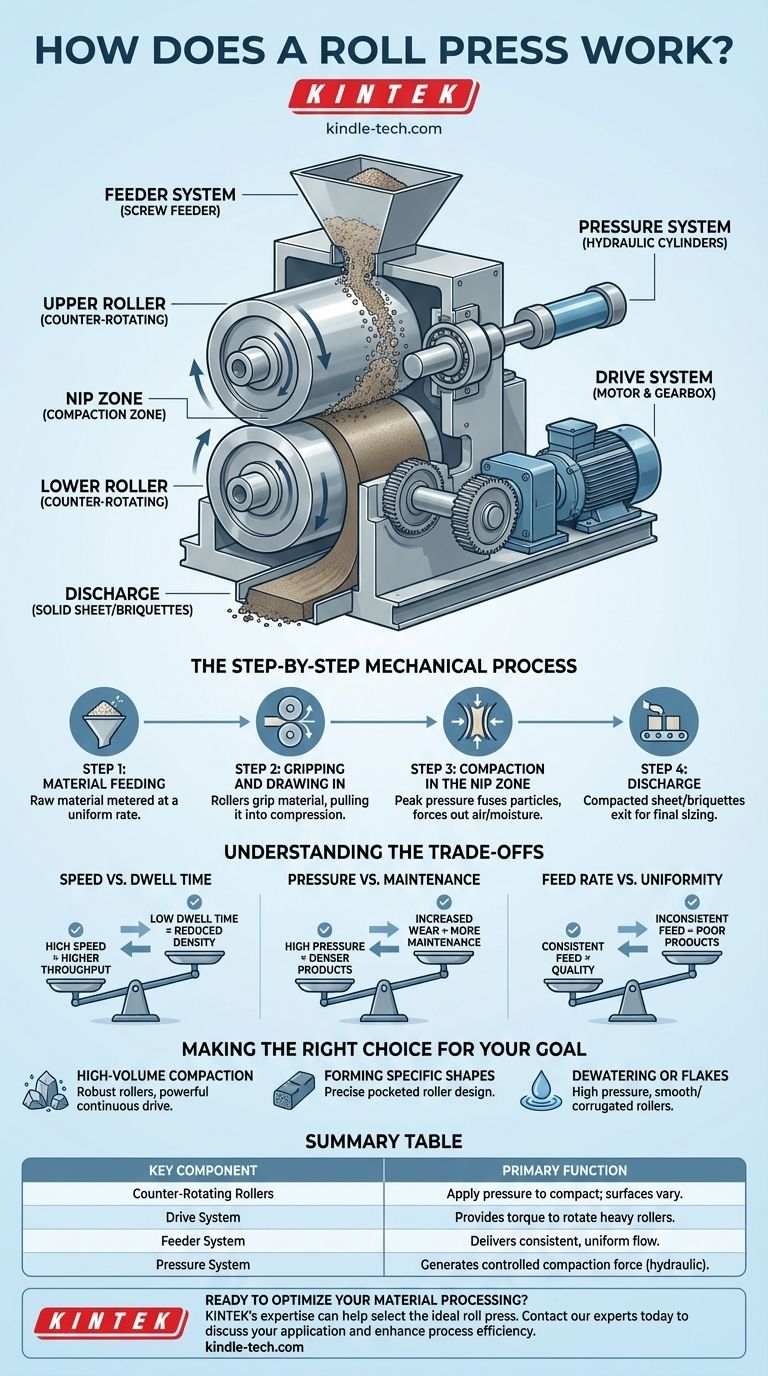 Come funziona una pressa a rulli? Un'analisi approfondita della tecnologia di compattazione continua Guida Visiva