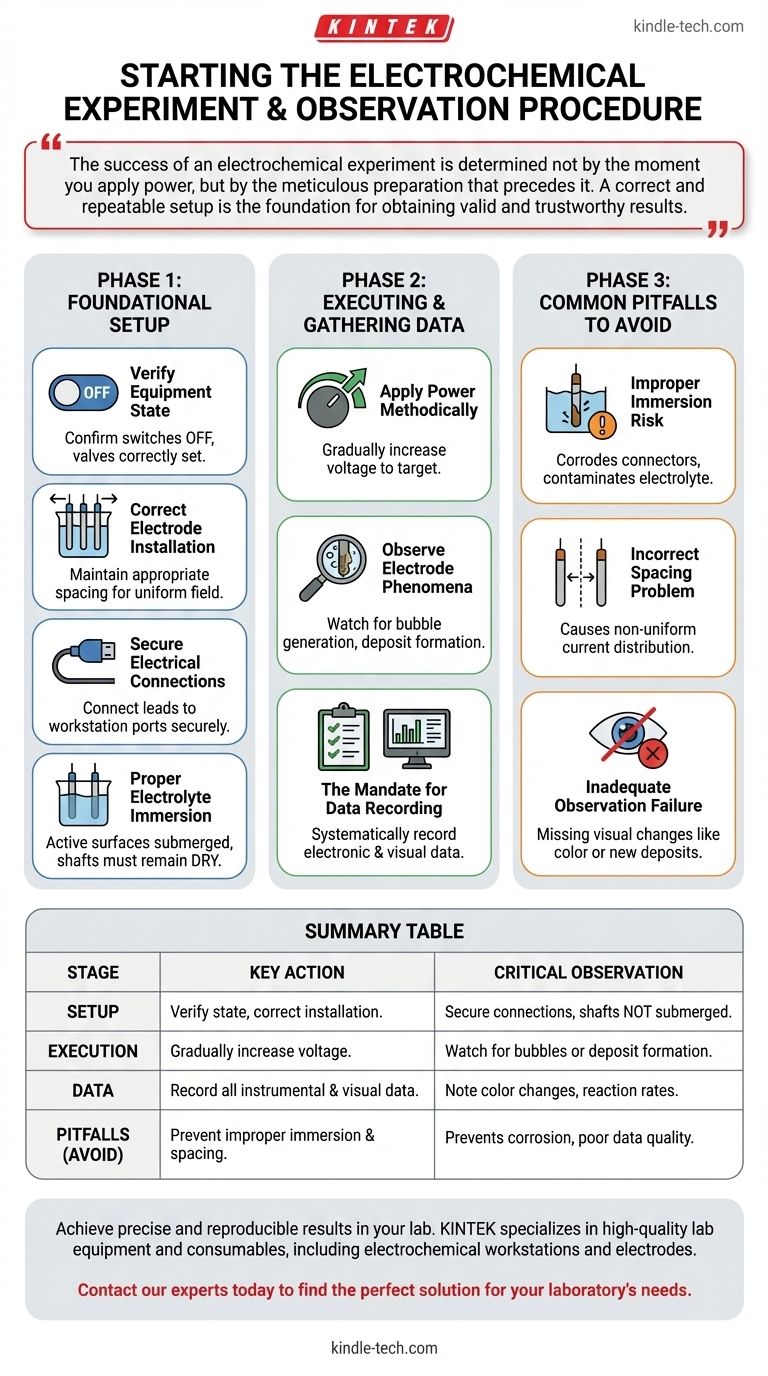Wie lautet das Verfahren zum Starten des Experiments und was sollte beobachtet werden? Ein Schritt-für-Schritt-Leitfaden für zuverlässige Elektrochemie Visuelle Anleitung