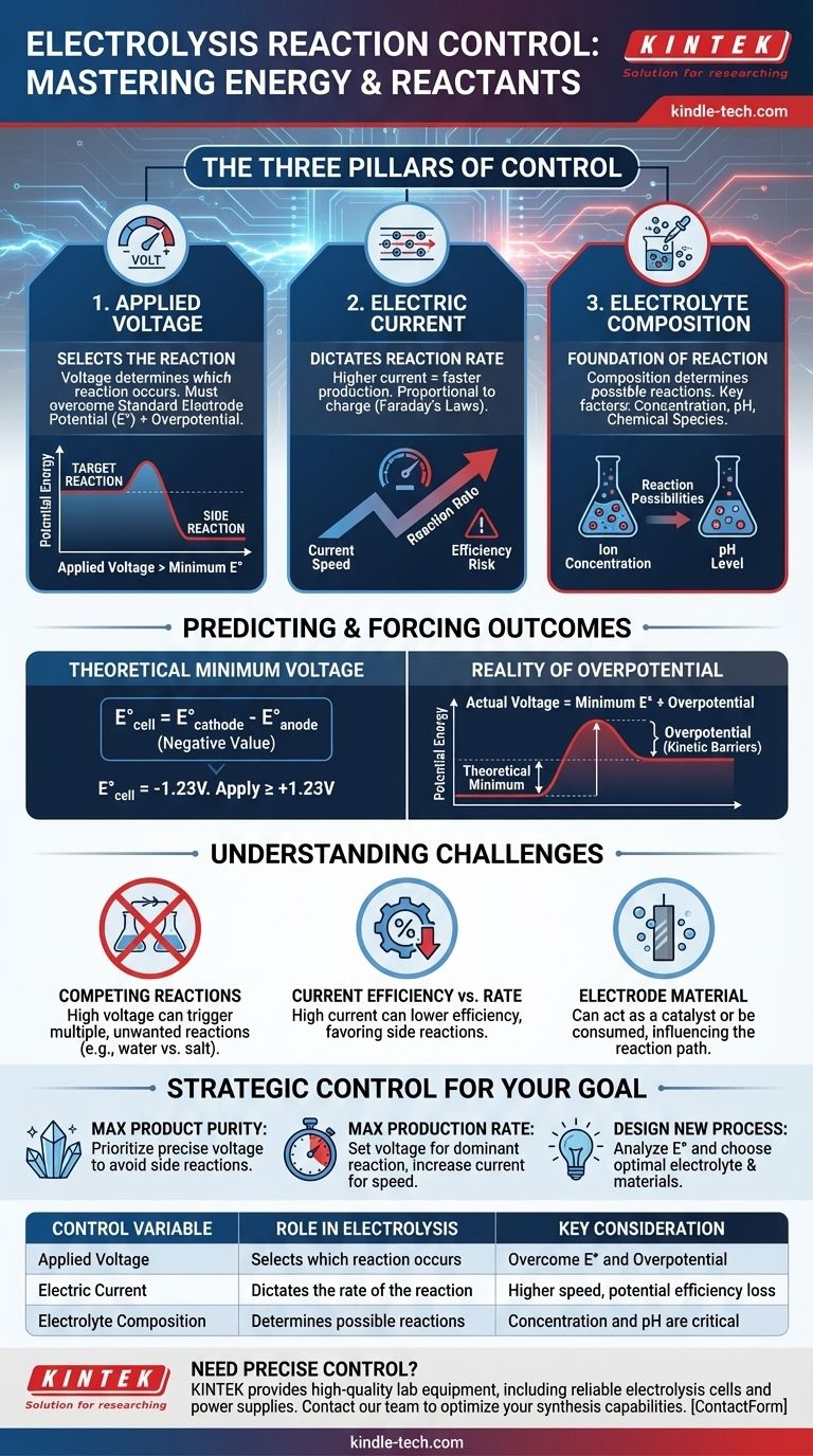 كيف يمكن التحكم في التفاعل داخل خلية التحليل الكهربائي؟ إتقان الجهد والتيار والإلكتروليت دليل مرئي