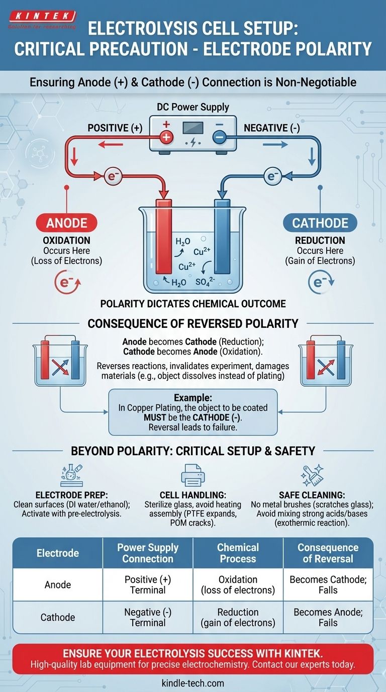 ما هو الاحتياط الهام المتعلق بقطبية الأقطاب عند إعداد خلية التحليل الكهربائي؟ تجنب الأخطاء المكلفة والتجارب الفاشلة دليل مرئي