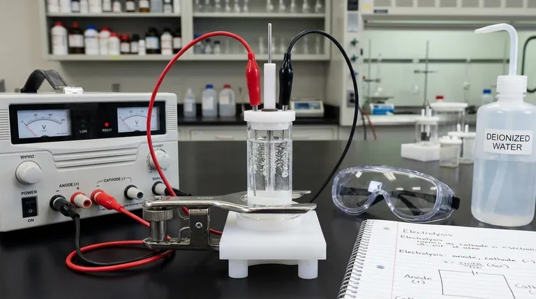 ما هو الاحتياط الهام المتعلق بقطبية الأقطاب عند إعداد خلية التحليل الكهربائي؟ تجنب الأخطاء المكلفة والتجارب الفاشلة