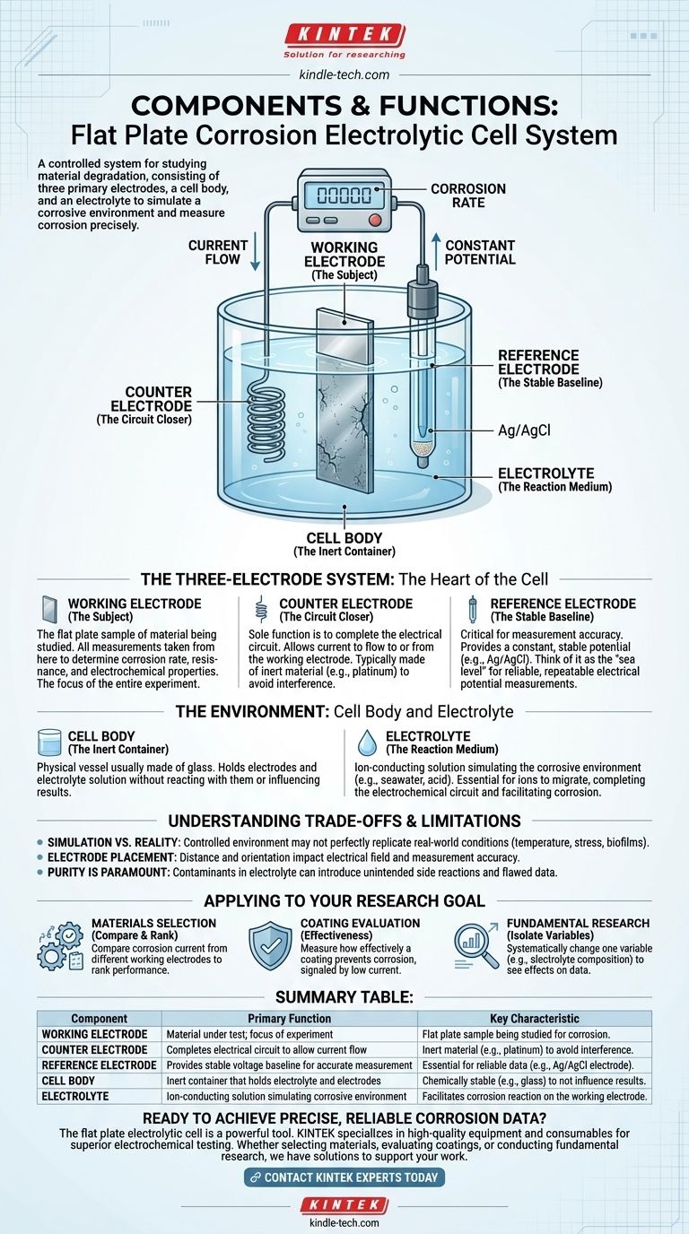 ما هي المكونات ووظائفها على التوالي في نظام خلية التآكل التحليلية للوحة المسطحة؟ دليل للقياس الدقيق للتآكل دليل مرئي
