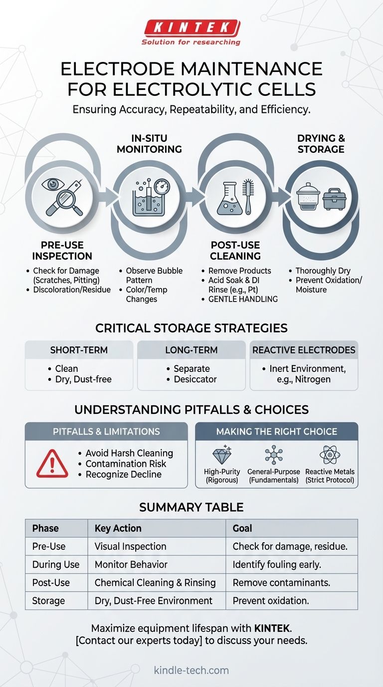 كيف ينبغي الحفاظ على أقطاب الخلية الإلكتروليتية؟ ضمان الدقة وطول العمر دليل مرئي