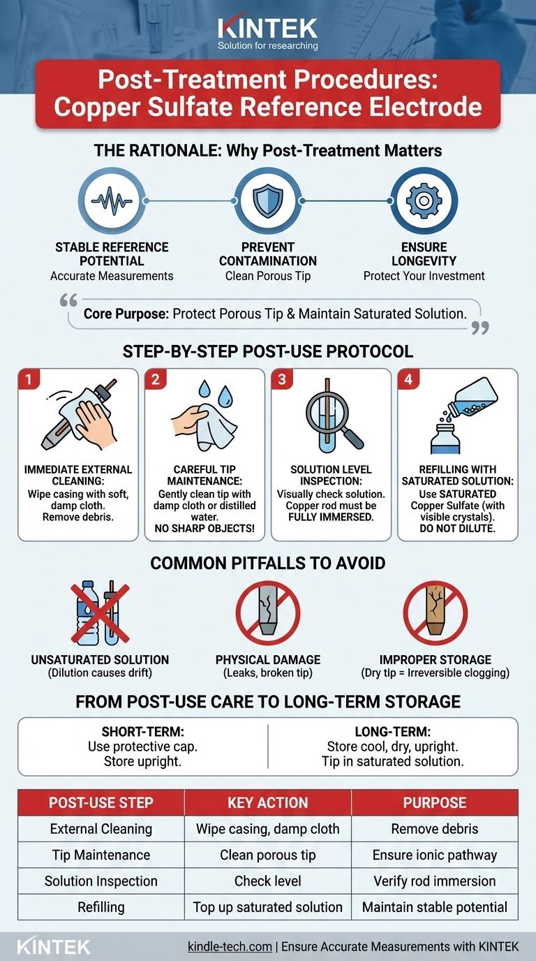 Quais são os procedimentos pós-tratamento após o uso de um eletrodo de referência de sulfato de cobre? Etapas Essenciais para Precisão e Longevidade Guia Visual