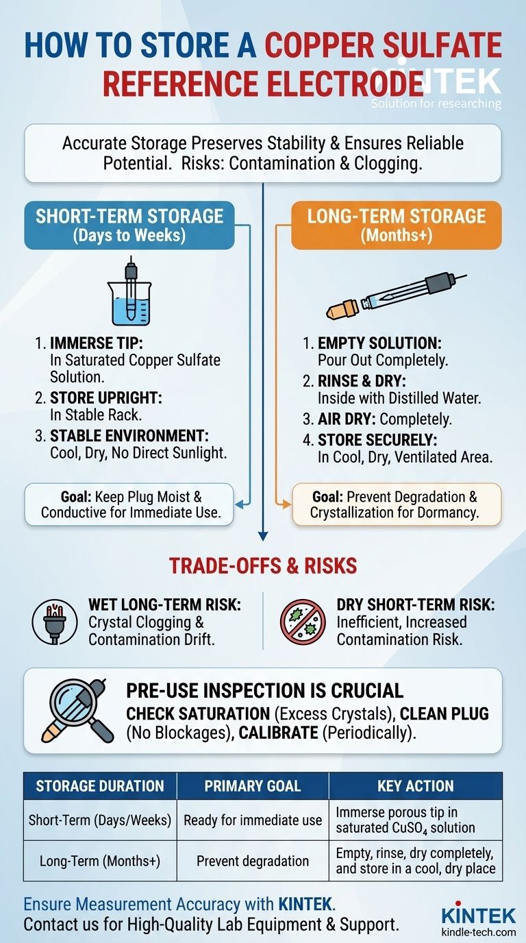 How should a copper sulfate reference electrode be stored? A Guide to Short-Term & Long-Term Storage Visual Guide