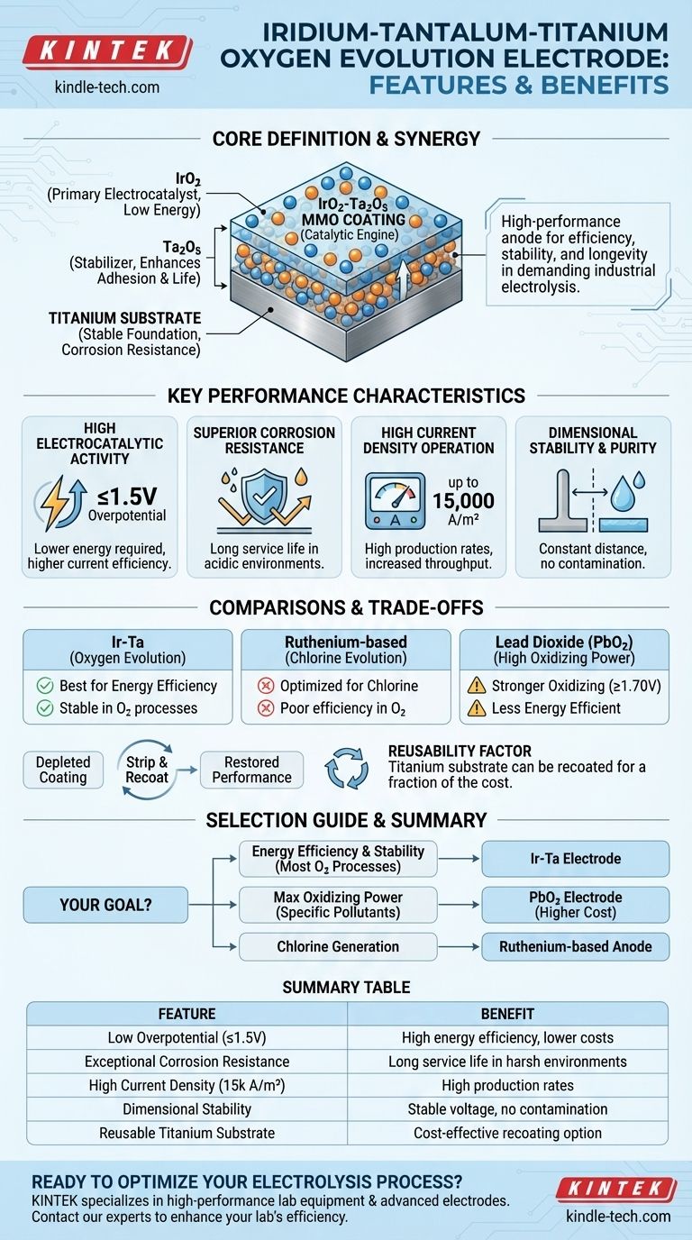 Was sind die Merkmale der Iridium-Tantal-Titan-Sauerstoffentwicklungs-Elektrode? Maximierung von Effizienz & Lebensdauer Visuelle Anleitung