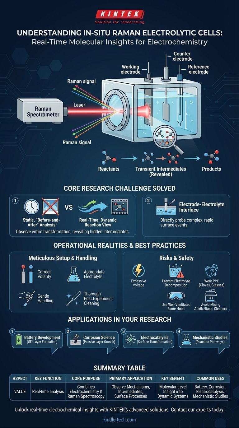 Какова функция электрохимической ячейки in-situ Рамана? Смотрите электрохимические реакции в реальном времени Визуальное руководство