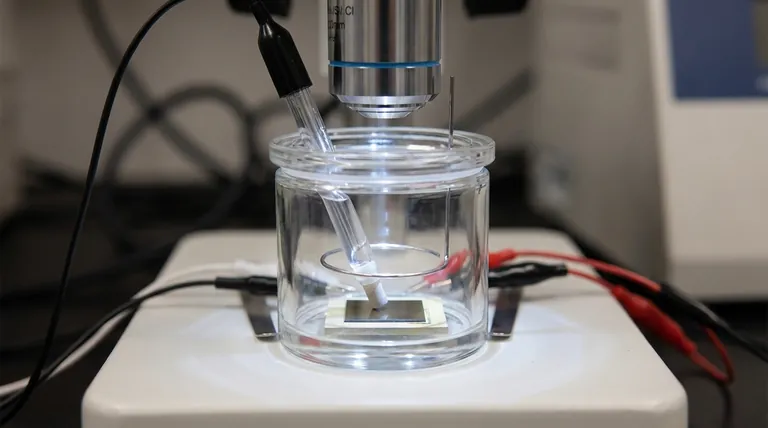 현장 라만 전기화학 셀에는 어떤 유형의 전극이 사용됩니까? 광학 및 전기화학적 제어에 최적화