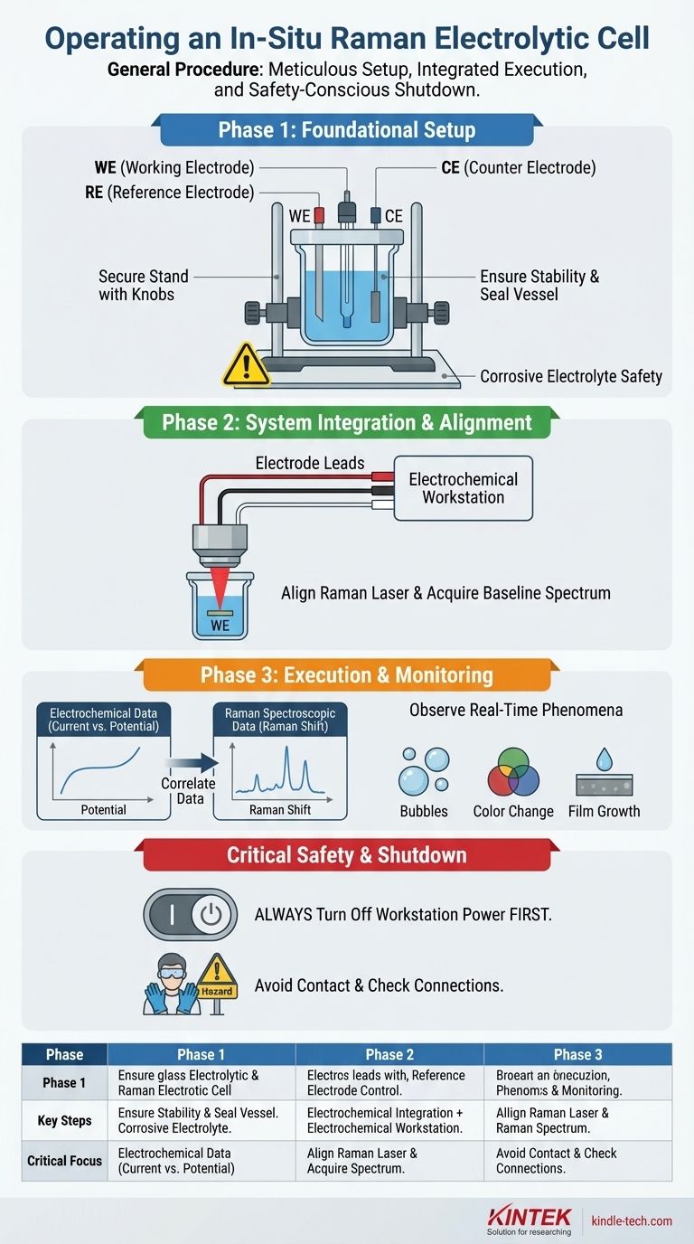 What is the general procedure for operating the in-situ Raman electrolytic cell? Master the 3-Phase Setup for Accurate Data Visual Guide