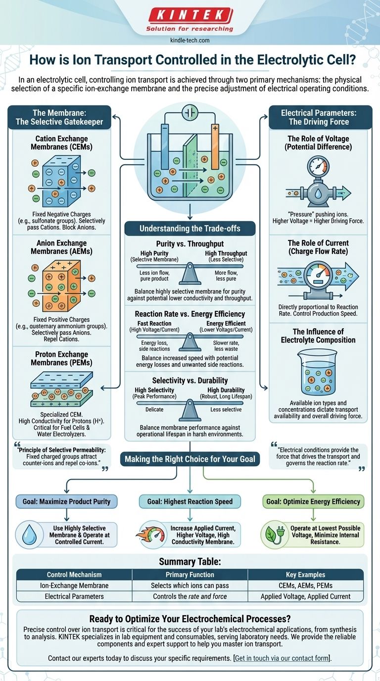 전해조에서 이온 수송은 어떻게 제어됩니까? 선택성과 효율성 마스터하기 시각적 가이드