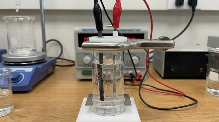 전해조에서 이온 수송은 어떻게 제어됩니까? 선택성과 효율성 마스터하기