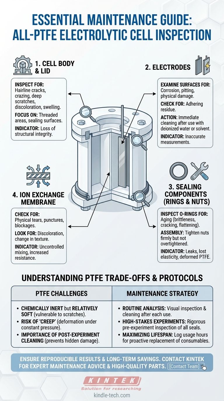 全PTFE电解槽的哪些部件需要定期检查以进行维护？确保长期可靠性 图解指南