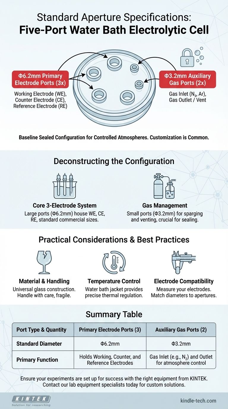 ما هي مواصفات الفتحات القياسية لخلية التحليل الكهربائي ذات الحمام المائي بخمسة منافذ؟ دليل لأحجام المنافذ والتخصيص دليل مرئي