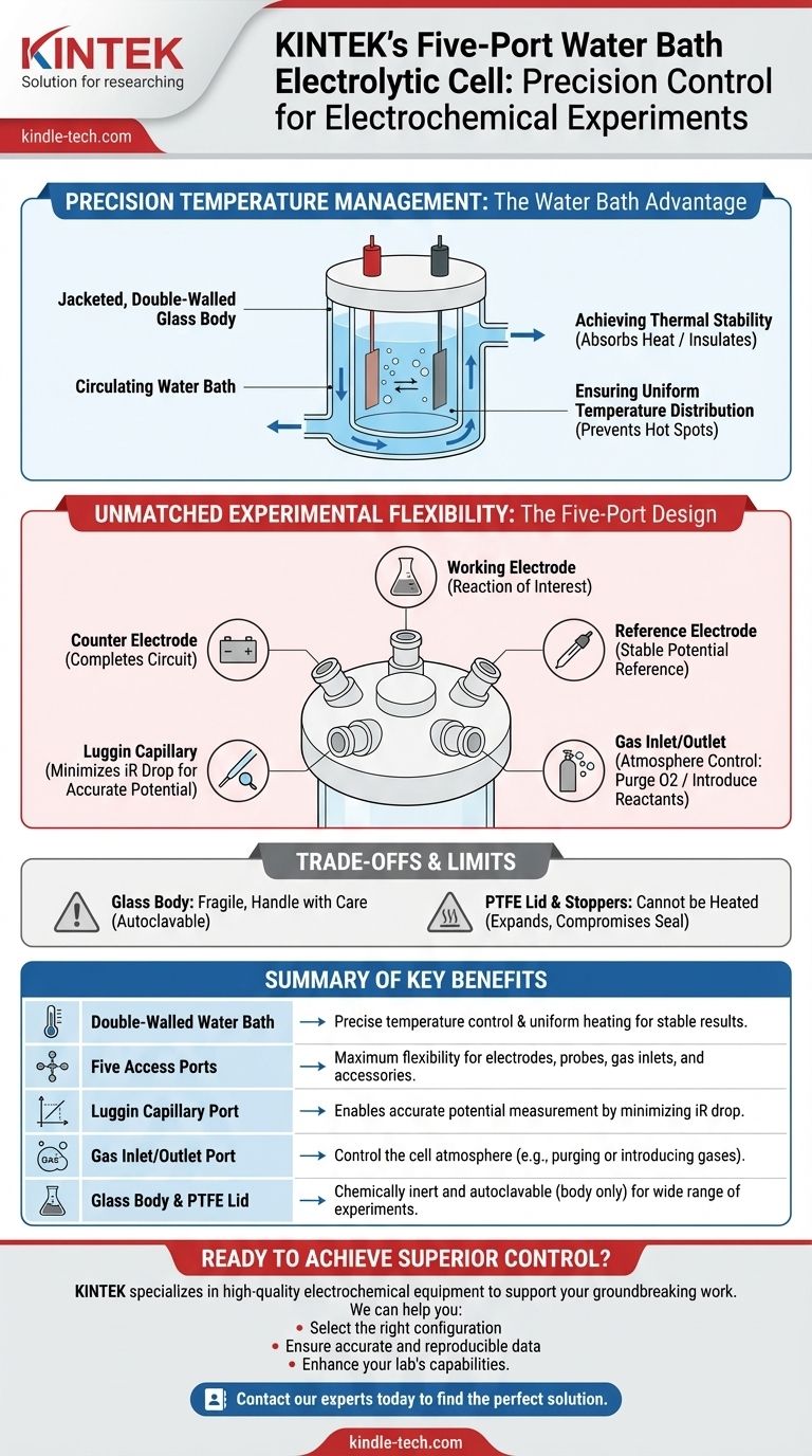 五口恒温水浴式电解池の主な特徴は何ですか？電気化学実験のための精密制御 ビジュアルガイド