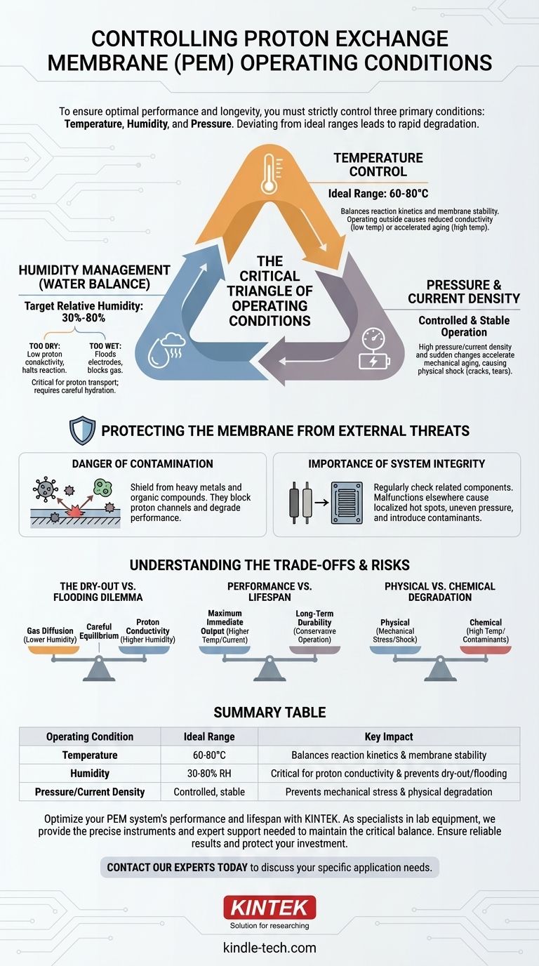 Quali condizioni operative devono essere controllate quando si utilizza una membrana a scambio protonico? Temperatura, umidità e pressione da padroneggiare Guida Visiva