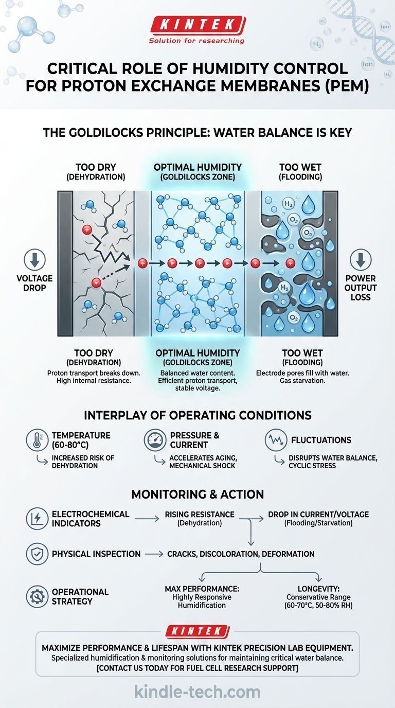 Why is humidity control critical for PEM maintenance? Achieve Peak Performance and Longevity Visual Guide