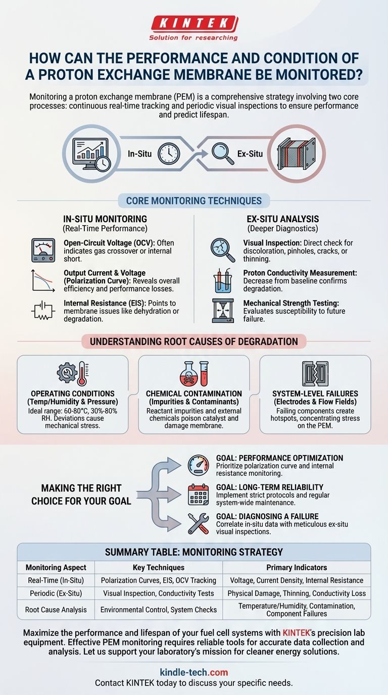 Come monitorare le prestazioni e le condizioni di una membrana a scambio protonico? Una guida alla salute e alla longevità delle PEM Guida Visiva