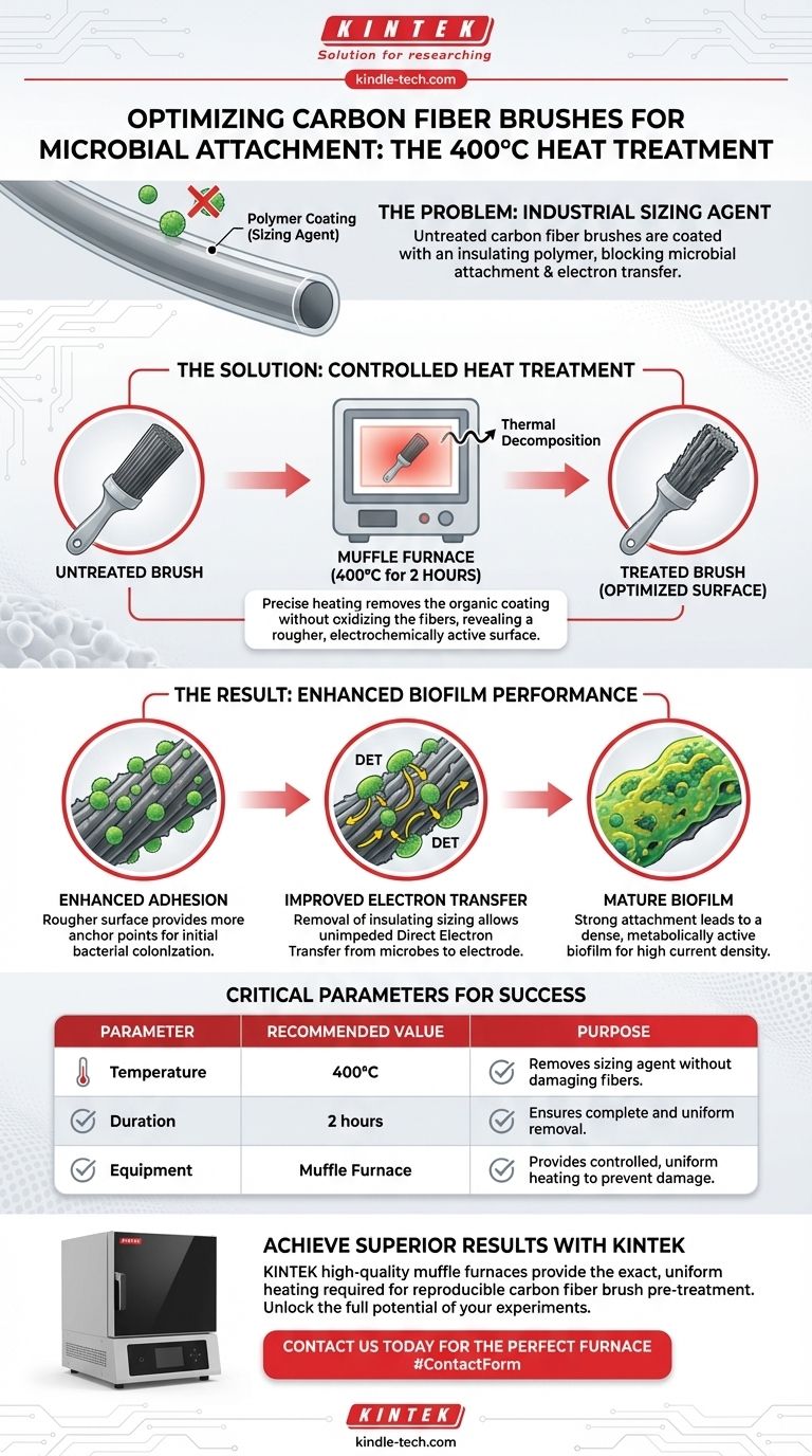 Comment un pinceau en fibre de carbone doit-il être prétraité pour améliorer l'attachement microbien ? Optimisez votre système bioélectrochimique Guide Visuel