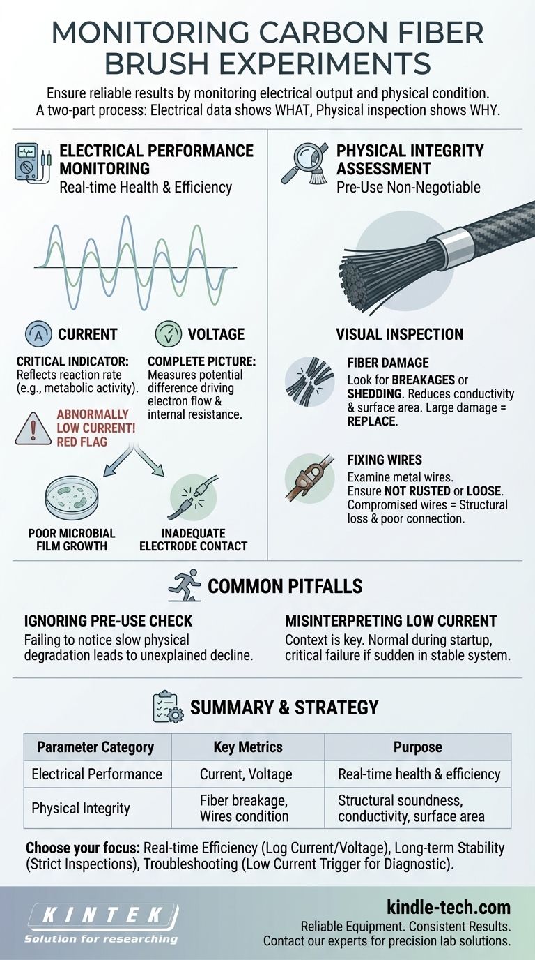 What parameters require monitoring during an experiment involving a carbon fiber brush? Ensure Reliable Results Visual Guide