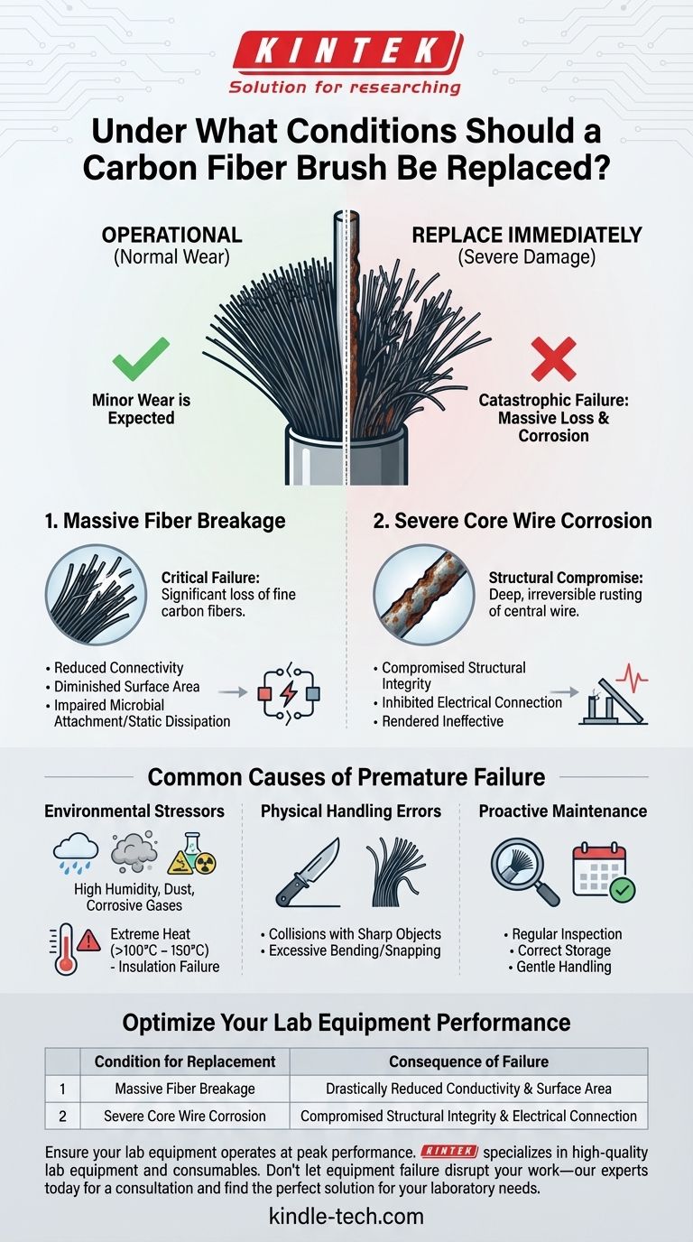 Under what conditions should a carbon fiber brush be replaced? Identify Critical Failure to Ensure Performance Visual Guide