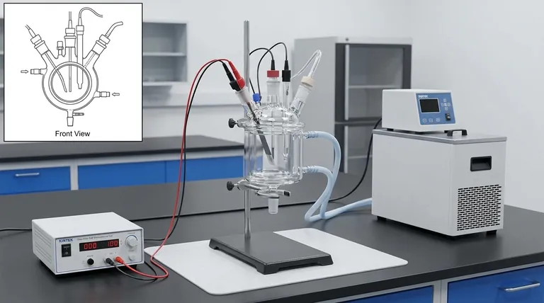 كيف يجب تثبيت الخلية الإلكتروليتية على الحامل أثناء التجربة؟ دليل خطوة بخطوة للاستقرار