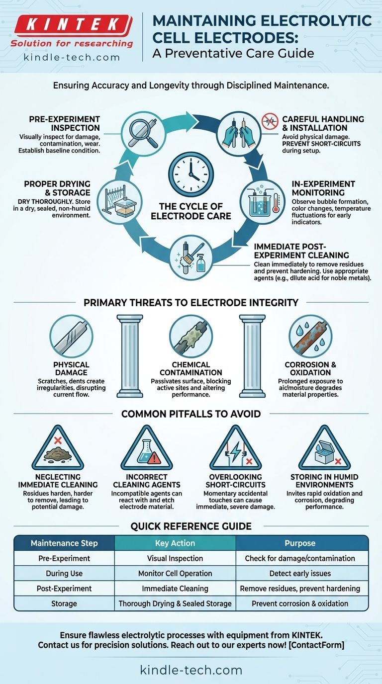 전기 분해 셀의 전극은 어떻게 유지 관리해야 할까요? 성능과 수명을 극대화하기 위한 가이드 시각적 가이드
