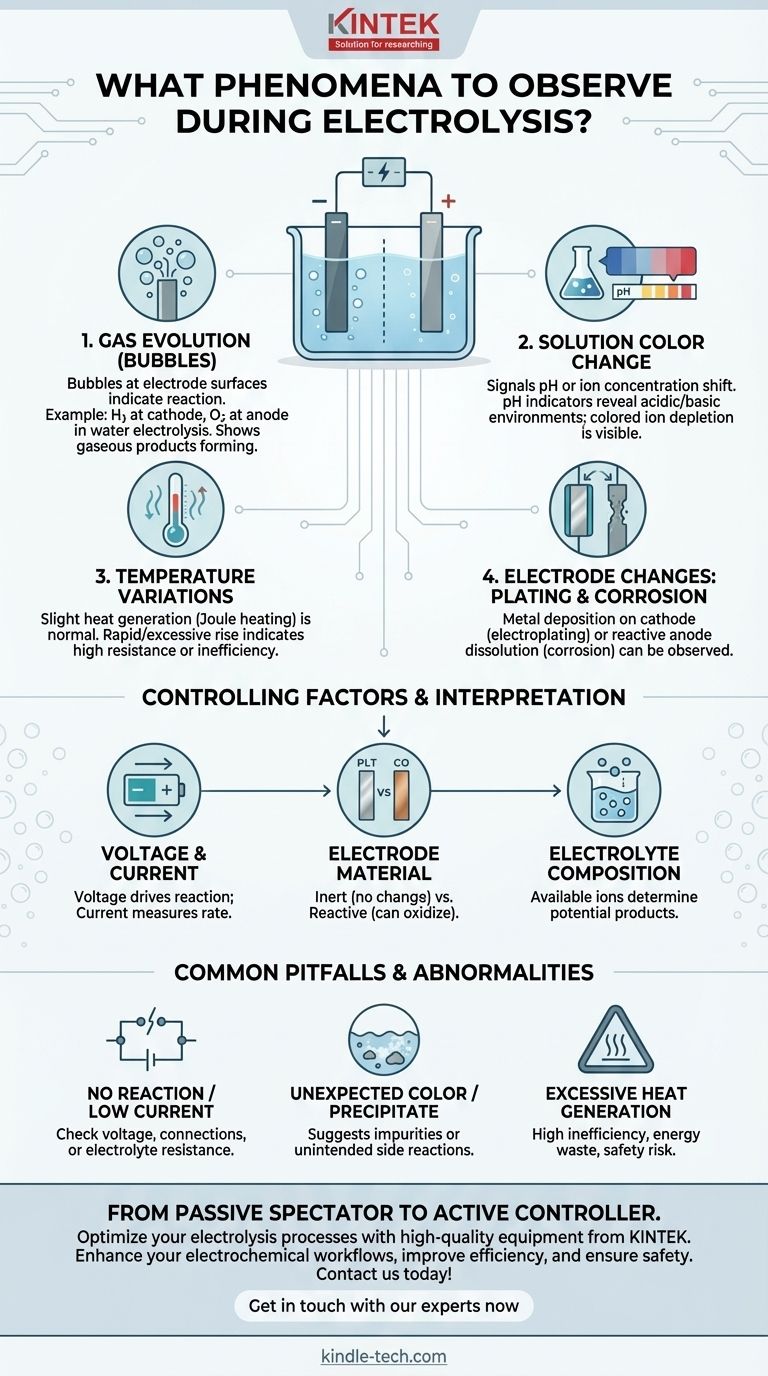 ما هي الظواهر التي يجب ملاحظتها أثناء عملية التحليل الكهربائي؟ العلامات الرئيسية للمراقبة لنجاح التفاعلات دليل مرئي