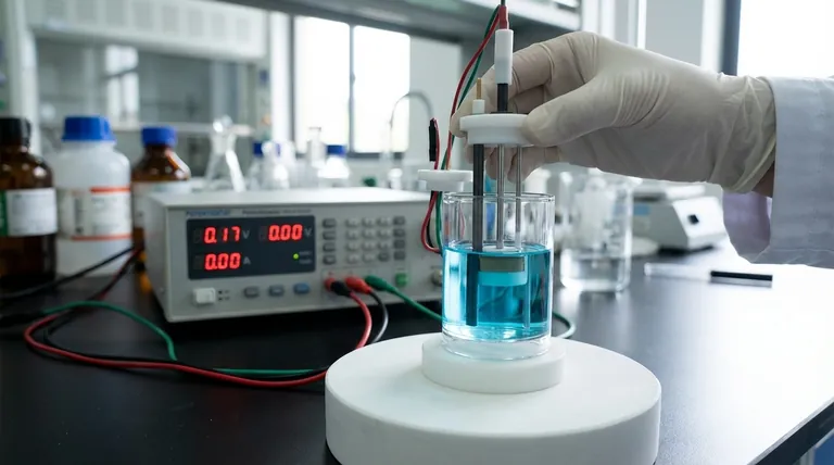 전기화학 실험에서 샘플 홀더의 일반적인 기능은 무엇인가요? 그것은 활성 작동 전극입니다.