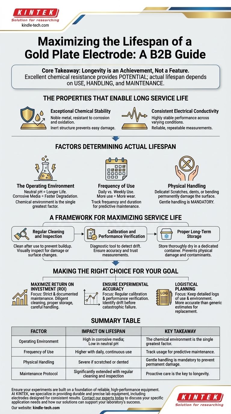 ما هو العمر المتوقع لقطب الذهب المطلي؟ زد من عمره التشغيلي بالعناية المناسبة دليل مرئي
