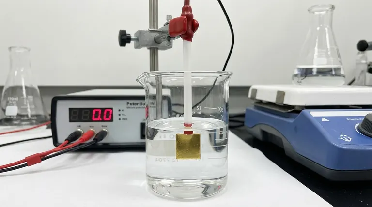 Quelle est la règle critique pour l'utilisation d'une électrode à plaque d'or ? Assurez-vous que seule la surface d'or entre en contact avec l'électrolyte