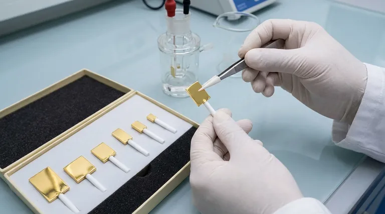 Que precauções devem ser tomadas para evitar danos mecânicos a um eletrodo de placa de ouro? Proteja a Integridade dos Seus Dados