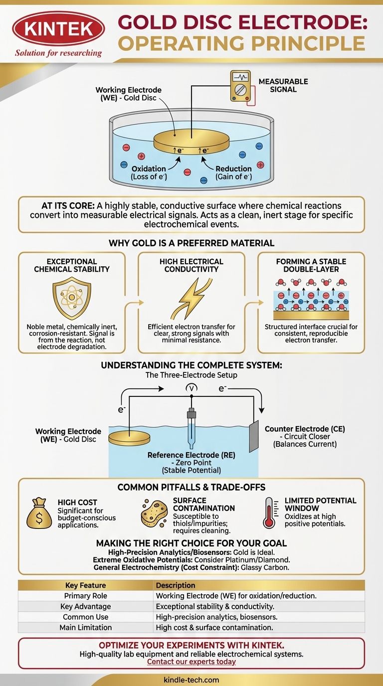 Quel est le principe de fonctionnement d'une électrode à disque d'or dans un système électrochimique ? Atteignez la précision avec une interface stable Guide Visuel