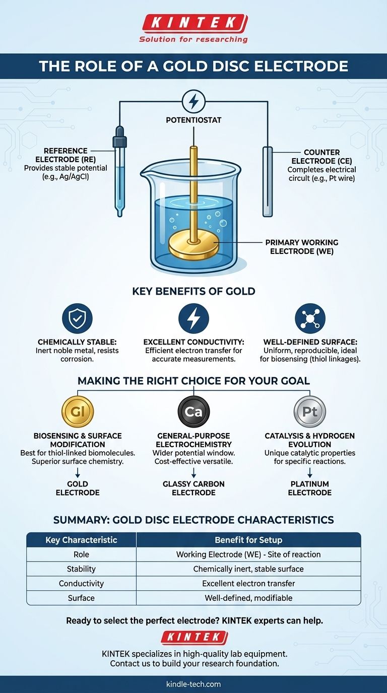 ما هو الدور النموذجي لقطب القرص الذهبي في الإعداد الكهروكيميائي؟ دليلك إلى قطب العمل الدقيق دليل مرئي