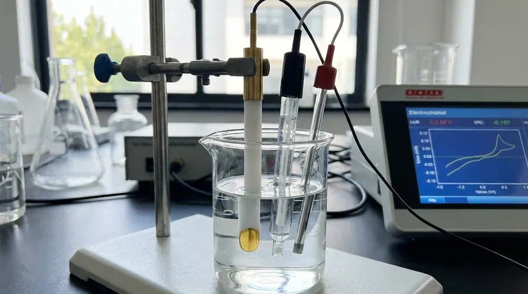 ما هو الدور النموذجي لقطب القرص الذهبي في الإعداد الكهروكيميائي؟ دليلك إلى قطب العمل الدقيق